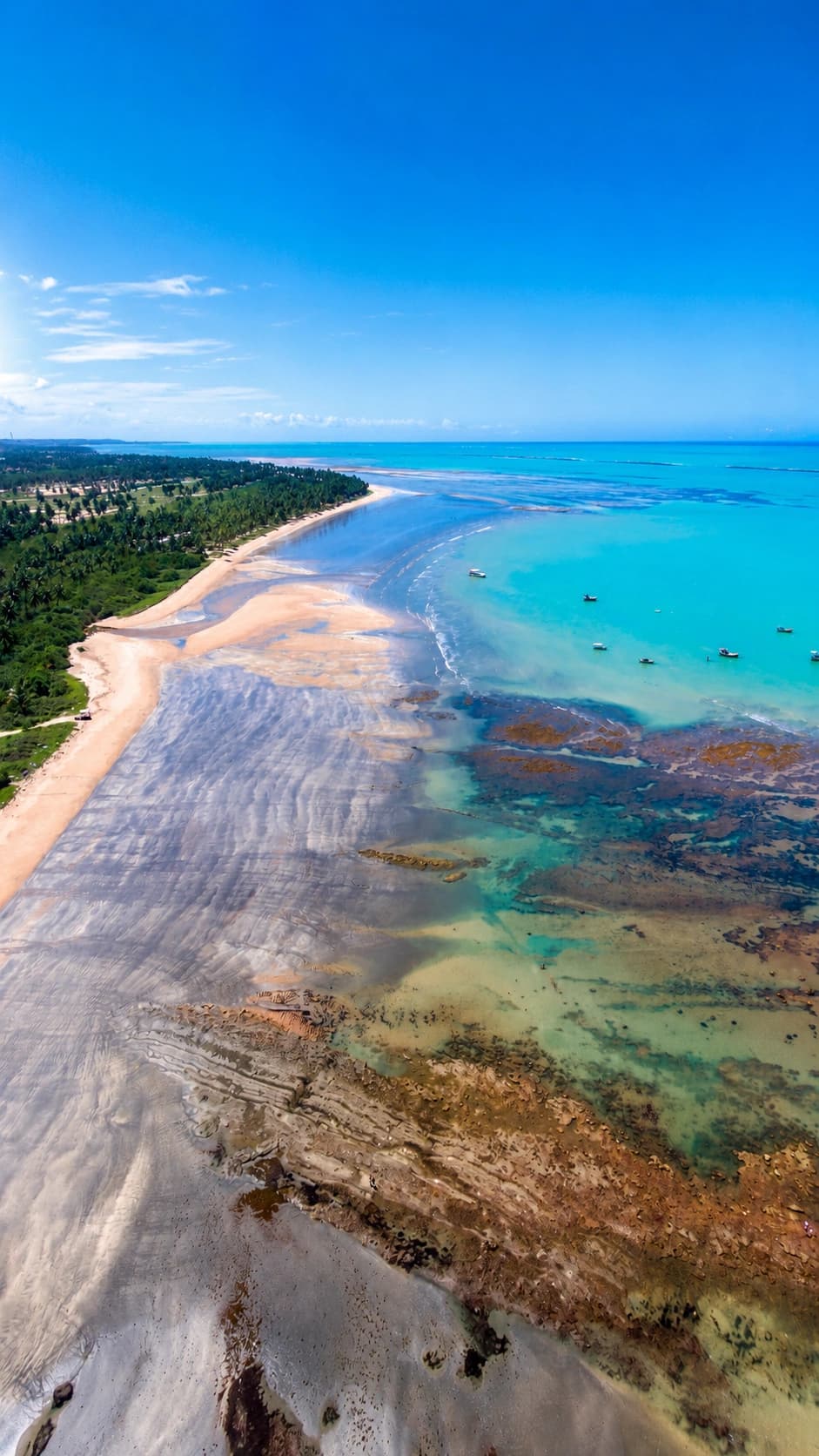 Litoral de Alagoas visto do alto